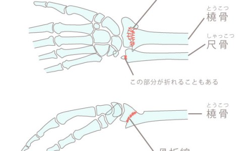 百合粉与藕粉的区别-权威百合藕粉价格多少一盒平台,分享专业百合藕粉价格多少一盒知识_百合藕粉羹的功效与作用网